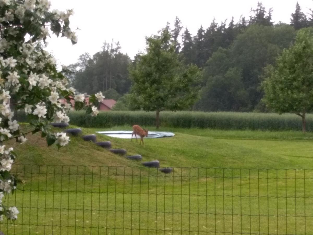 Vitalhof Roithinger Grieskirchen Exteriér fotografie