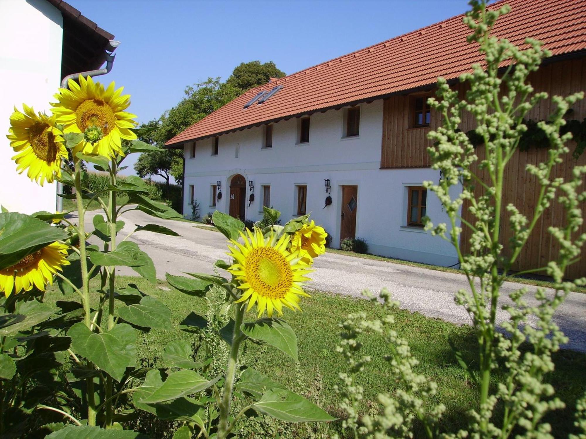 Vitalhof Roithinger Grieskirchen Exteriér fotografie