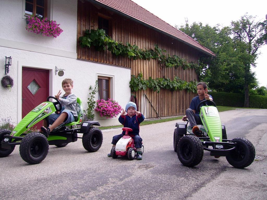 Vitalhof Roithinger Grieskirchen Pokoj fotografie